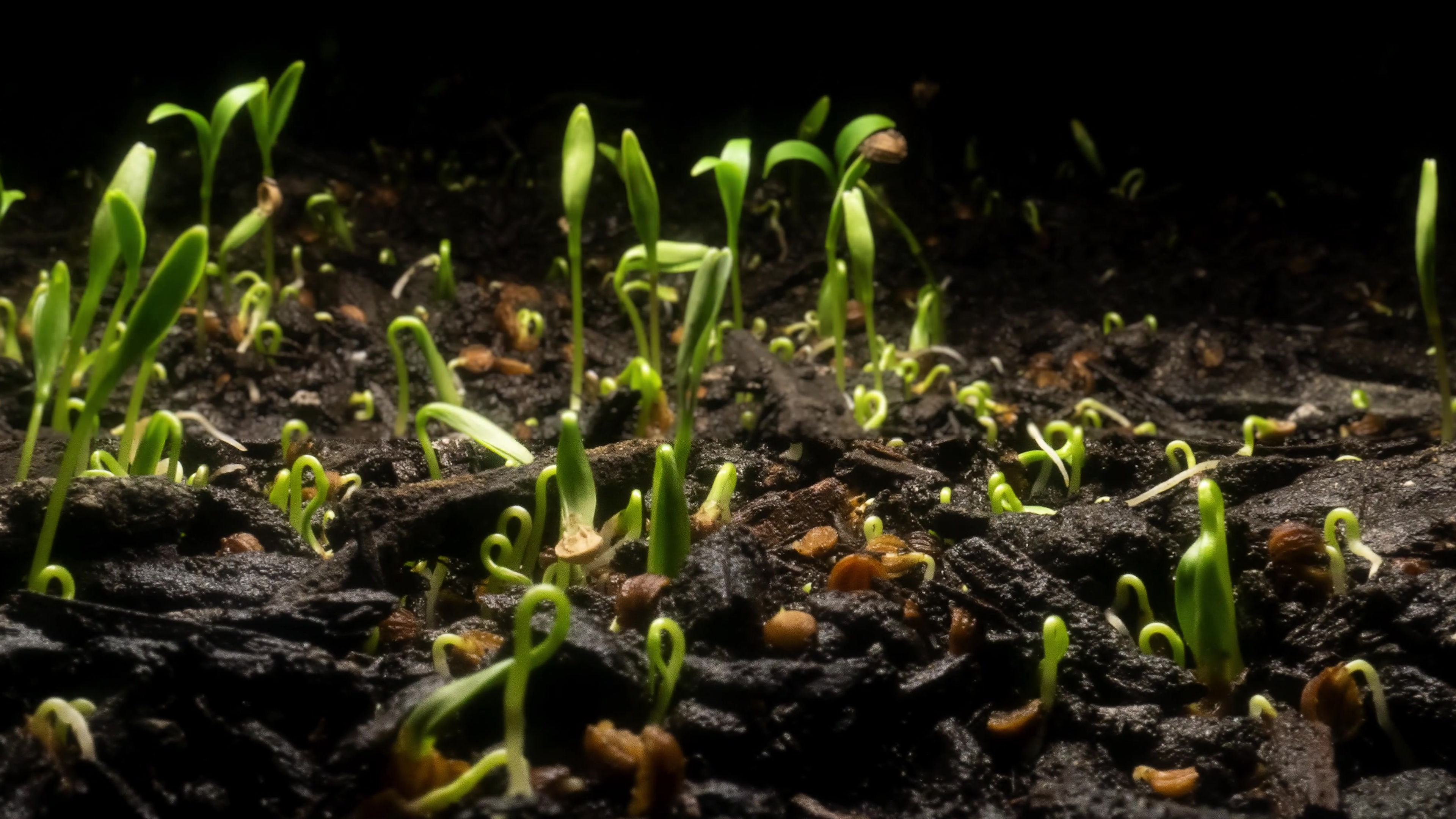 Agria - Investor Video